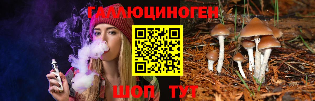 Галлюциногенные грибы Cubensis  Галлюциногенные грибы Cubensis  Вход с VPN  Кашира 