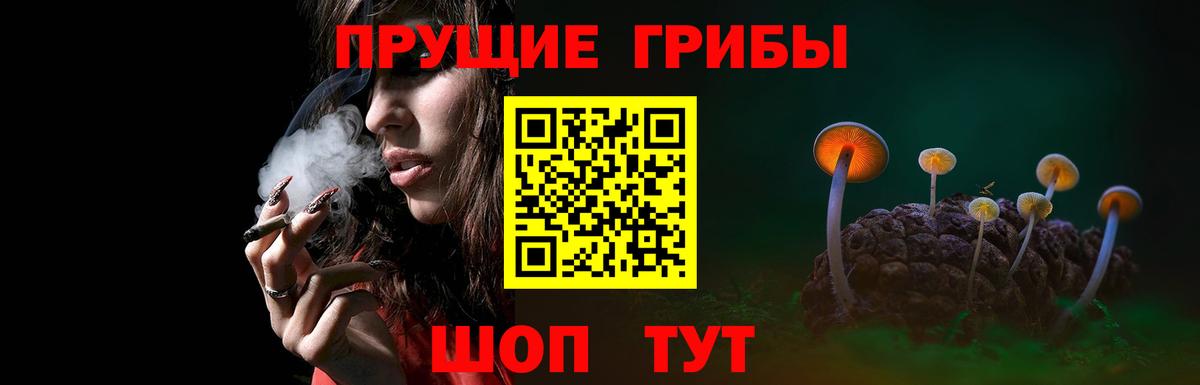 Галлюциногенные грибы мицелий Кашира
