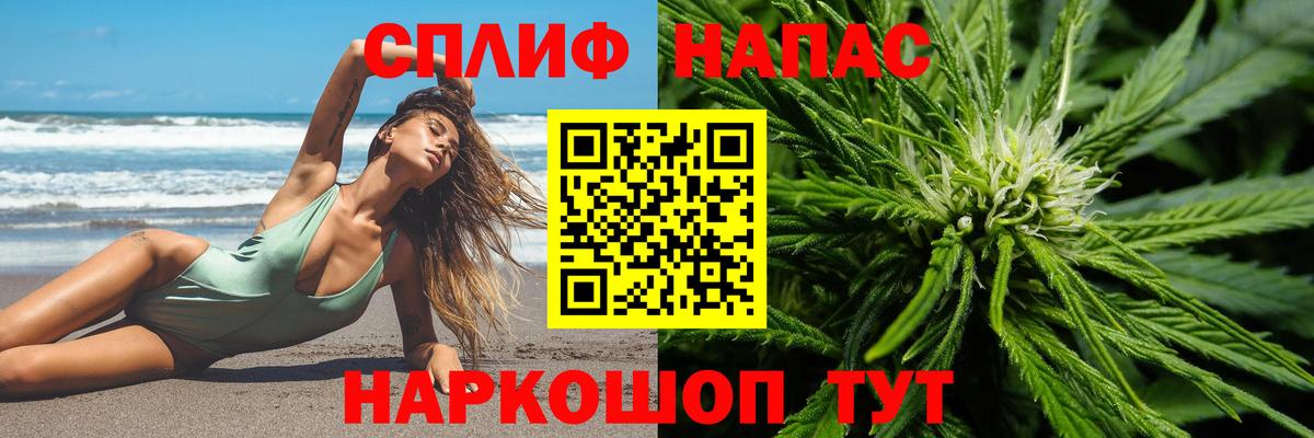 Каннабис сатива  Марихуана конопля  Вход с VPN  Кашира 